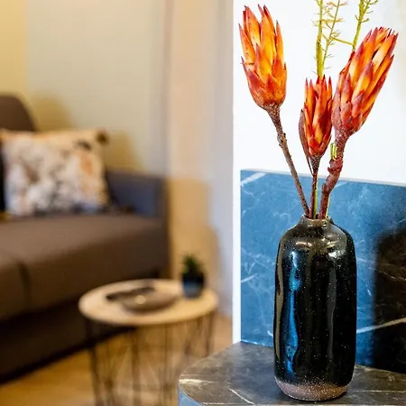 Appart. T 1 Bis, Centre Ville, Entierement Renove * Lourdes