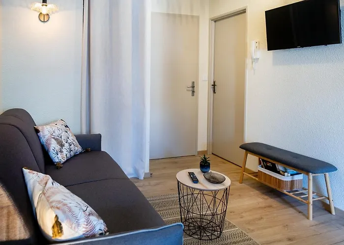 Appart. T 1 Bis, Centre Ville, Entierement Renove *