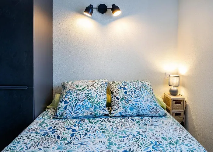 Appart. T 1 Bis, Centre Ville, Entierement Renove * Lourdes